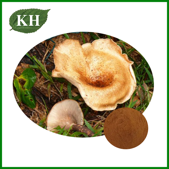 Tiger Milk Mushroom Extract